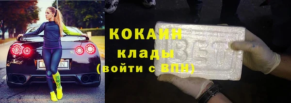 гидра Козловка