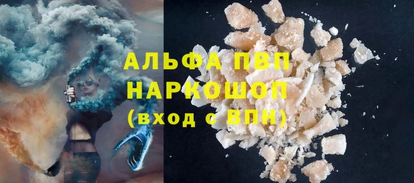гидра Козловка