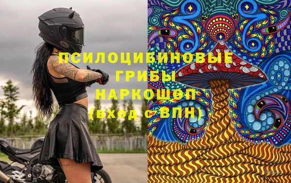 мяу мяу мука Костерёво