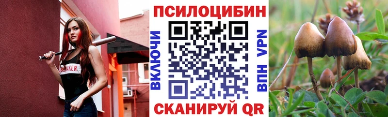 гидра зеркало  Кириллов  Галлюциногенные грибы Psilocybine cubensis 
